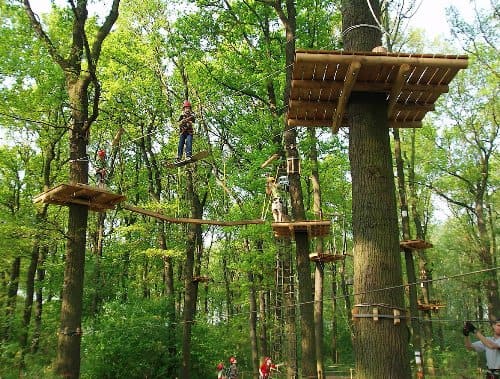Il costo per la realizzazione di un parco avventura può superare i 100.000 euro.