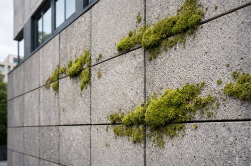 Una guida ai costi del cemento bioricettivo per nuove costruzioni o ristrutturazioni facciate e balconi.