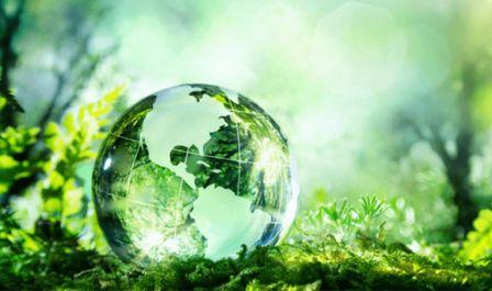 Per  sapere quanto costa una bonifica ambientale può essere il caso di richiedere più preventivi