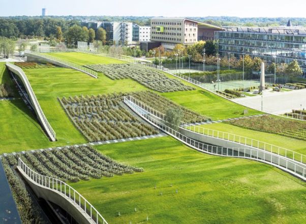 Il costo di un tetto verde è simile a quello di un giardino pensile.