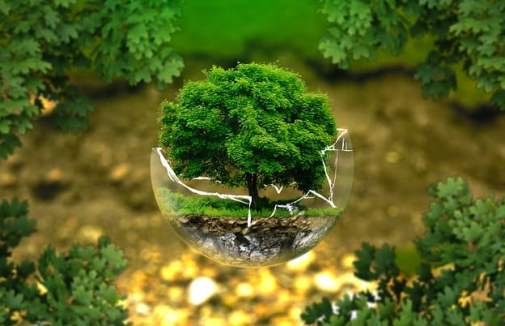 Qual è il costo per una Valutazione di Impatto Ambientale? Tutte le indicazioni per far eseguire questo studio, indispensabile per la realizzazione di alcune opere.