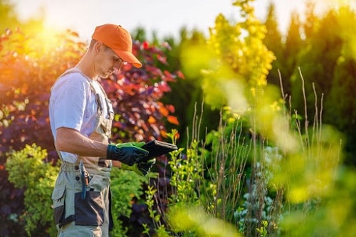 Se stai cercando preventivi per la manutenzione di giardini e la cura del verde nella tua zona, ti darà sufficiente inviare una richiesta a Edilnet.it