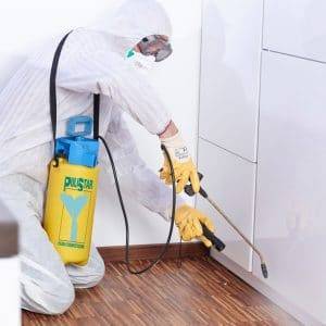 Per procedere con la disinfezione di certi sapzi della tua casa potresti doverti rivolgere a professionisti presenti nella tua zona. per poter trovare la soluzione più convenienteti converrà confrontare fra diversi preventivi.
