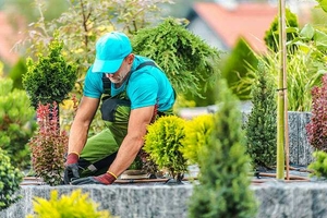 Il giardinaggio è una passione, tuttavia può essere necessario dover chiedere preventivi per l'intervento di giardinieri professionisti su Edilnet