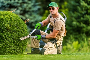Il giardinaggio è una passione. A volte occorre chiedere preventivi a giardinieri professionisti della zona su Edilnet