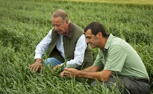I periti agrari partner di edilnet sono i professionisti di riferimento per tutto ciò che concerne la conduzione di un'attività agricola o agraria