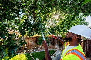 Per la potatura di piante e arbusti conviene rivolgersi a giardinieri professionisti attivi nella propria zona, richiedendo loro preventivi su Edilnet