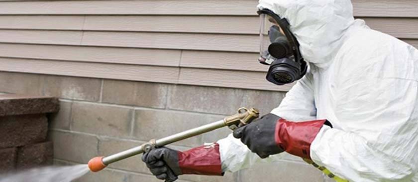 Le disinfestazioni sono operazioni molto delicate e, quindi, sarà necessario richiedere preventivi solo a ditte specializzate nella propria zona.