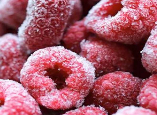 preventivo trasporti refrigerati