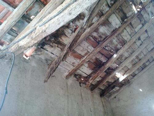 Demolizione e rifacimento copertura ricovero attrezzi - Foto 1