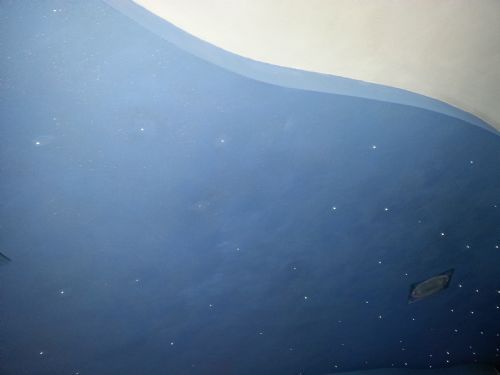 Buongiorno avrei bisogno di un disegno di come arredare la casa.
E' urgente in quanto settimana prossima inizieranno a fare le tracce x gli impianti.
Sono disponibile a fare effettuare un sopralluogo. - Foto 1
