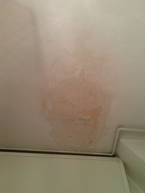 Salve
ho una perdita d'acqua dal mio bagno che intacca il soffitto dell'inquilino di sotto.
Il lavoro consiste nella rimozione di una parte di pavimento.
Riparazione del &nbsp;tubo che perde.
Messa in - Foto 1