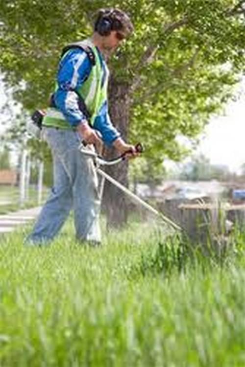 LAVORI DI GIARDINAGGIO E MANUTENZIONE GIARDINO - Foto 2