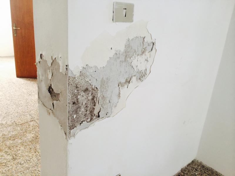 Foto 2 per la domanda: Umidità di risalita: cause e soluzioni definitive?
