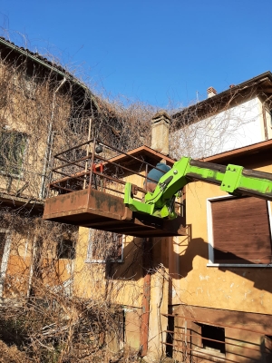 Foto 2 per la domanda: Come eliminare o almeno contenere il glicine?