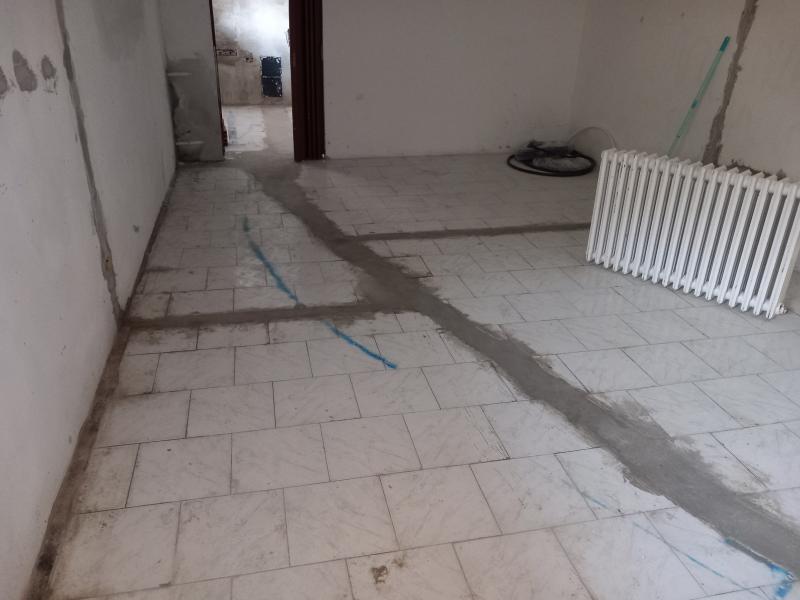 Vespaio di circa 20 cm: vorrei informazioni sui co...