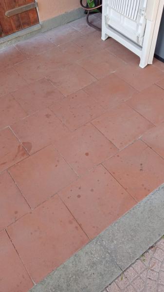Foto 2 per la domanda: Come rimuovere una macchia d’olio dal cotto esterno poroso?
