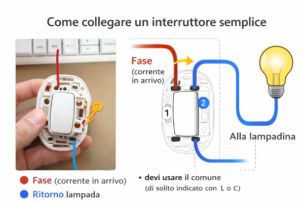 Immagine allegata al commento