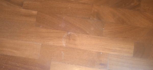 Foto 5 per la domanda: Rimozione di graffi e macchie bianche dal parquet: quali sono le soluzioni?