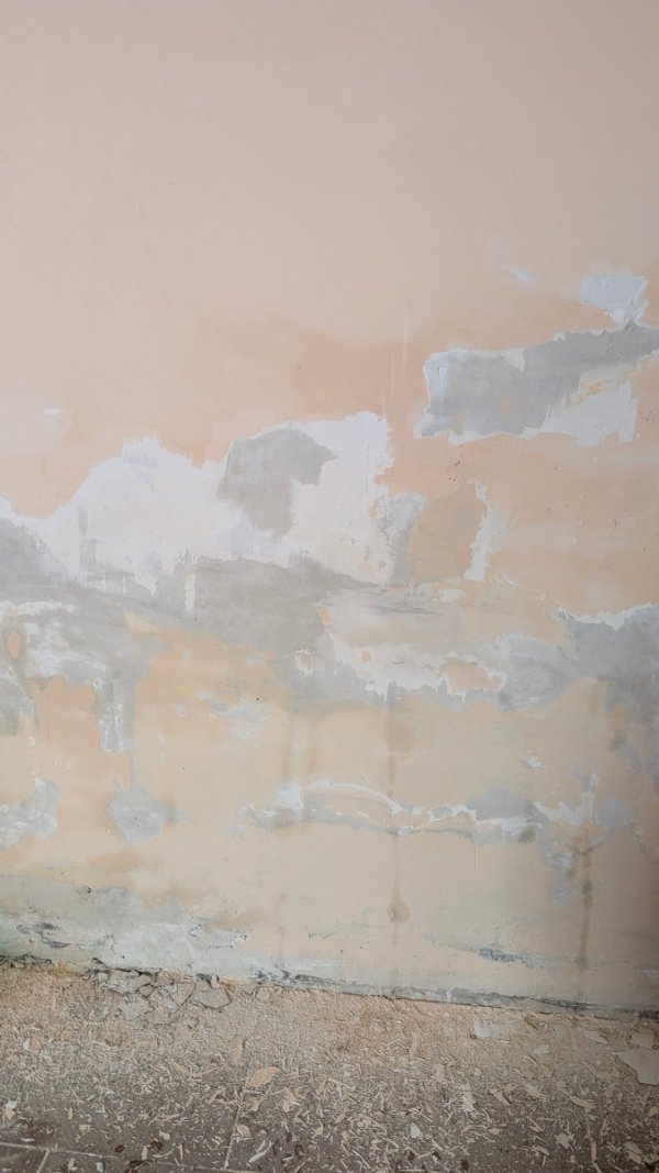 Foto 2 per la domanda: Vernice che si sfoglia: come risolvere il problema?