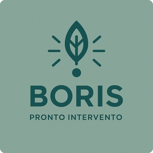 Boris - Pronto Intervento Di Giuseppe Borrielli
