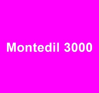 Montedil 3000 S.r.l.s.