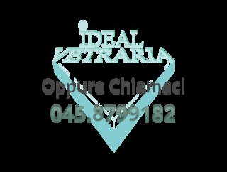 Ideal Vetreria S.n.c.