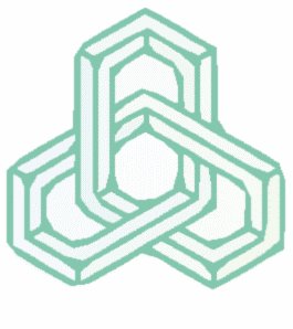 Geometra Amoroso