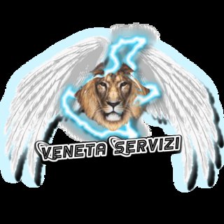 Veneta Servizi S.a.s.