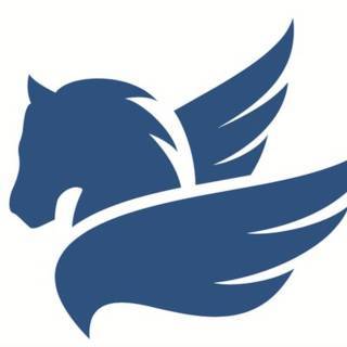 Pegaso Servizi Integrati