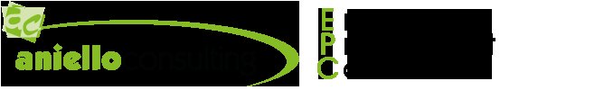 Aniello Consulting Srl