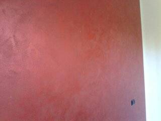 Edilcolor
