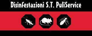 S.t. Puliservice