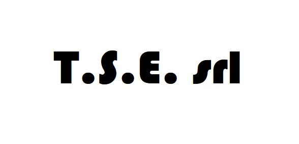 T.s.e. Srl