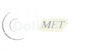 Colimet Srl