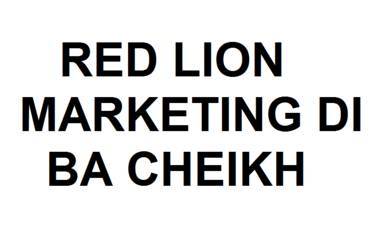 Red Lion Marketing Di Ba Cheikh Sadibou