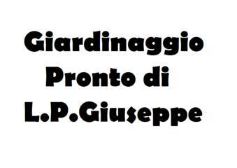 Not Solo Verde Di L.p.giuseppe