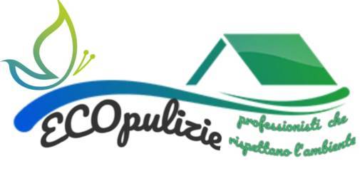 Ecopulizie