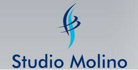 Ing. Molino Andrea Bruno