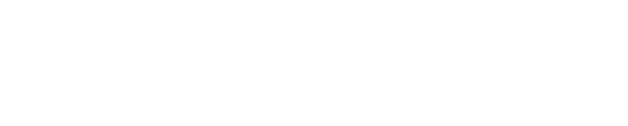 Puliteck Services Di Ernesto De Paz