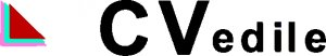 Cv Edile