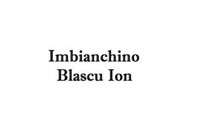 Imbianchino Blascu Ion