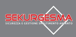 Sekurgesma Srl
