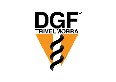 Dgf Trivelmorra S.r.l.s.