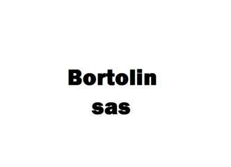 Logo di Bortolin S.a.s.
