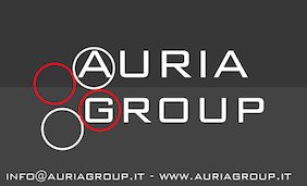 Auria Group