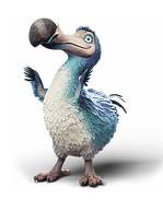 Dodo Service S.c.