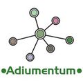 Adiumentum