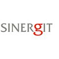 Sinergit