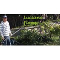 Flores Paredes Héctor  Luciano
